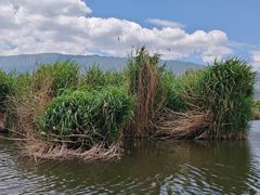-大理洱源西湖景区