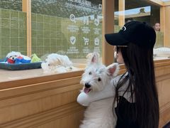 -帕帕拉兹宠物(亚洲旗舰店)