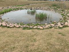 -滆湖低碳生态公园