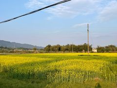 -罗坑大草原