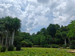 -中国科学院西双版纳热带植物园