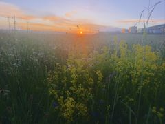 -黄河九曲第一湾
