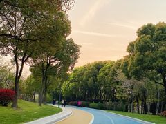 -蠡湖大桥公园