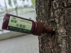 -莲花池公园