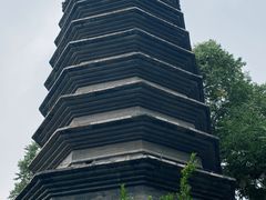 -正阳书局(西四南大街店)
