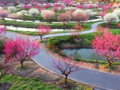 -上海海湾国家森林公园