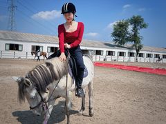 -北京群众马术培训基地