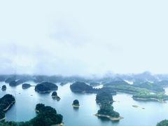 -浔味·山屿湖·正宗淳牌全鱼宴老字号