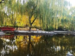 -玲珑塔公园