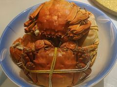 -黄记大闸蟹专卖店·活蟹·醉蟹