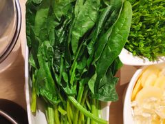菠菜-海底捞火锅(丰尚国际广场店)