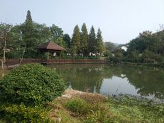 -石塘人家