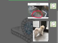 -帕帕拉兹宠物(亚洲旗舰店)