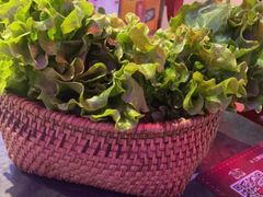 -十三姨正合丰烤肉(营迹路店)