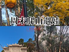 -灵岩山风景区