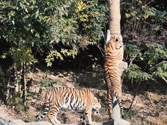 -宁波野生动物园