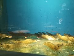 -太平洋PACIFIC SPA•奢睿水疗(万象城店)