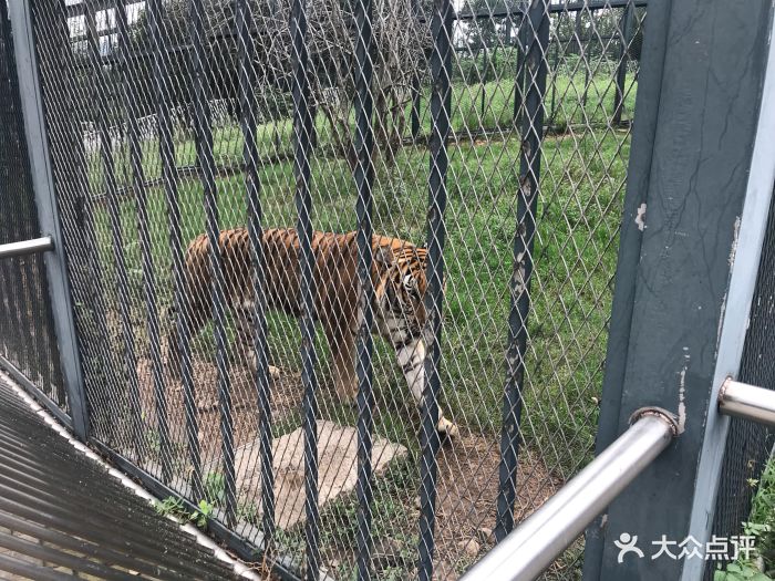 無錫動物園·太湖歡樂園圖片 - 第36張