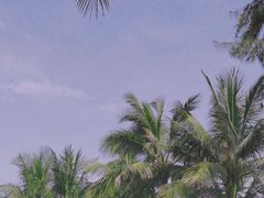 -万绿园