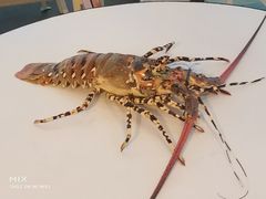 -国际金钻海鲜餐厅
