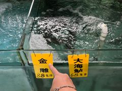 -寻味顺德·南记酒家·传统顺德菜·鱼生(广源路店)