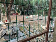 -呼吸森林·生态农庄农家乐私房菜