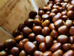 -金栗王(清扬路店)