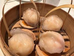 -金鼎轩(亚运村店)