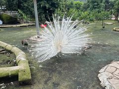 -哈尔滨北方森林动物园