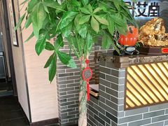 -升艾堂·经络·艾灸·气血(成山路店)