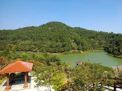 -广州白江湖森林公园