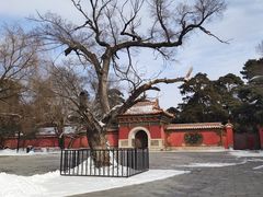 -北陵公园