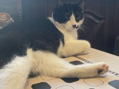 -路易时光(蕴川路店)