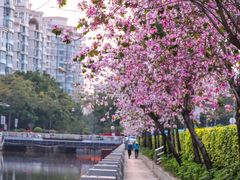 -文华公园(禅城区)