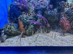 -大连老虎滩海洋公园