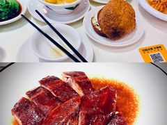 吊烧沙溪米鸭-禄興記香港大排档(歌斐中心店)
