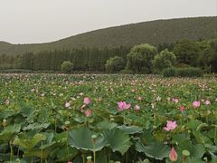 -云龙湖旅游景区