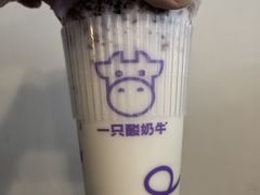 -一只酸奶牛(春熙路店)