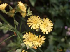 -华南国家植物园-售票处