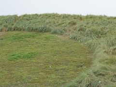 -白鹭湾湿地公园