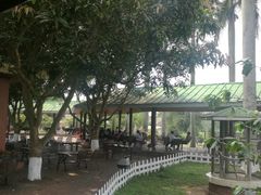 -侯臣咖啡文化村