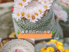 -瑞虹新天地月亮湾