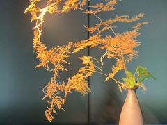 -木守西溪溪隐餐厅