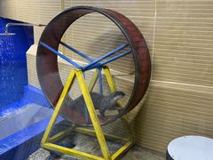 -太平洋海底世界