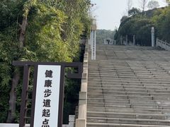 -铁山坪森林公园