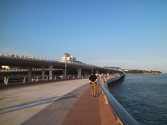 -演武大桥观景平台