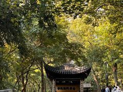 -灵岩山风景区