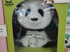 -熊猫邮局(少城店)
