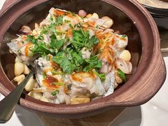 -滋粥楼·顺德菜(番禺广场总店)