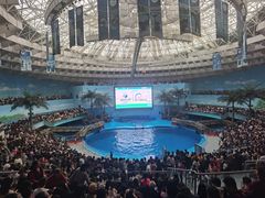 -海合安成都极地海洋公园